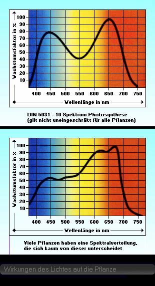 Photosynthese Spektrum