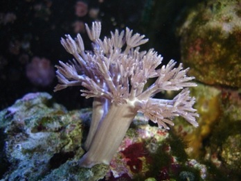 DSC05441a