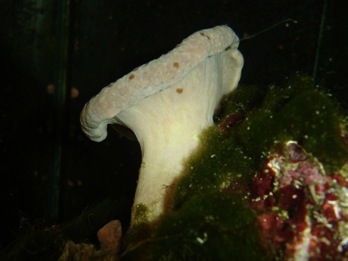 DSC07960_Thumbnail