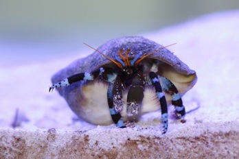 IMG_6067_Thumbnail