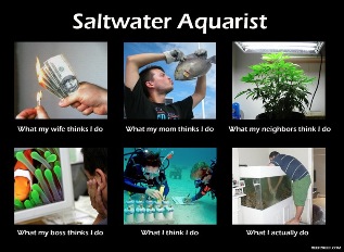 Saltwater Aquarist_Thumbnail