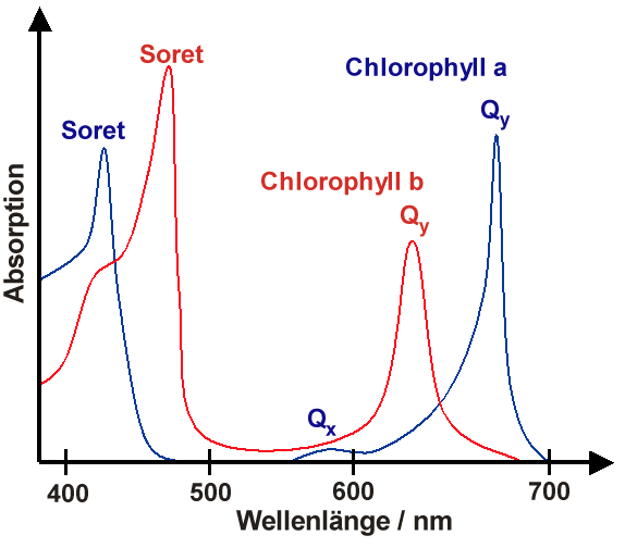 Chlorophyll_spectrum