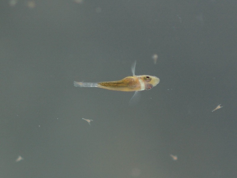 P9016279