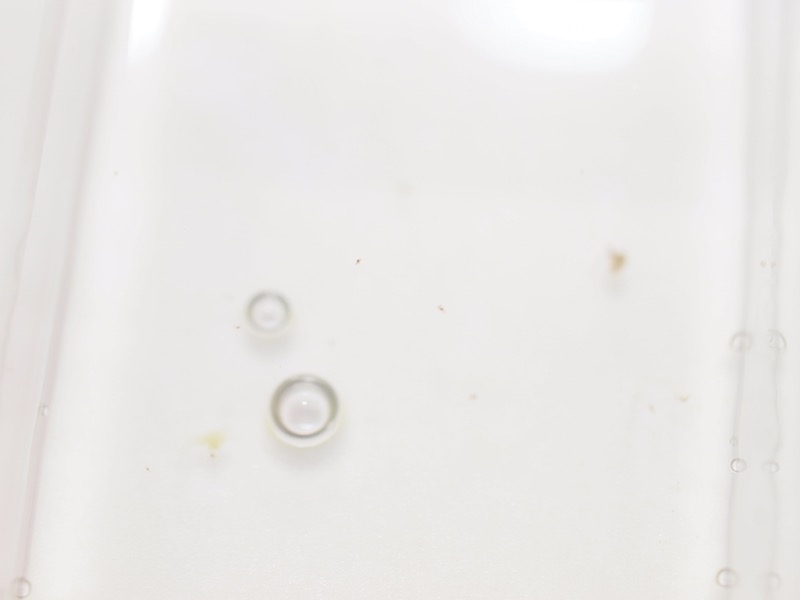 P9096566