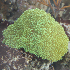 IMG_1735.JPG
